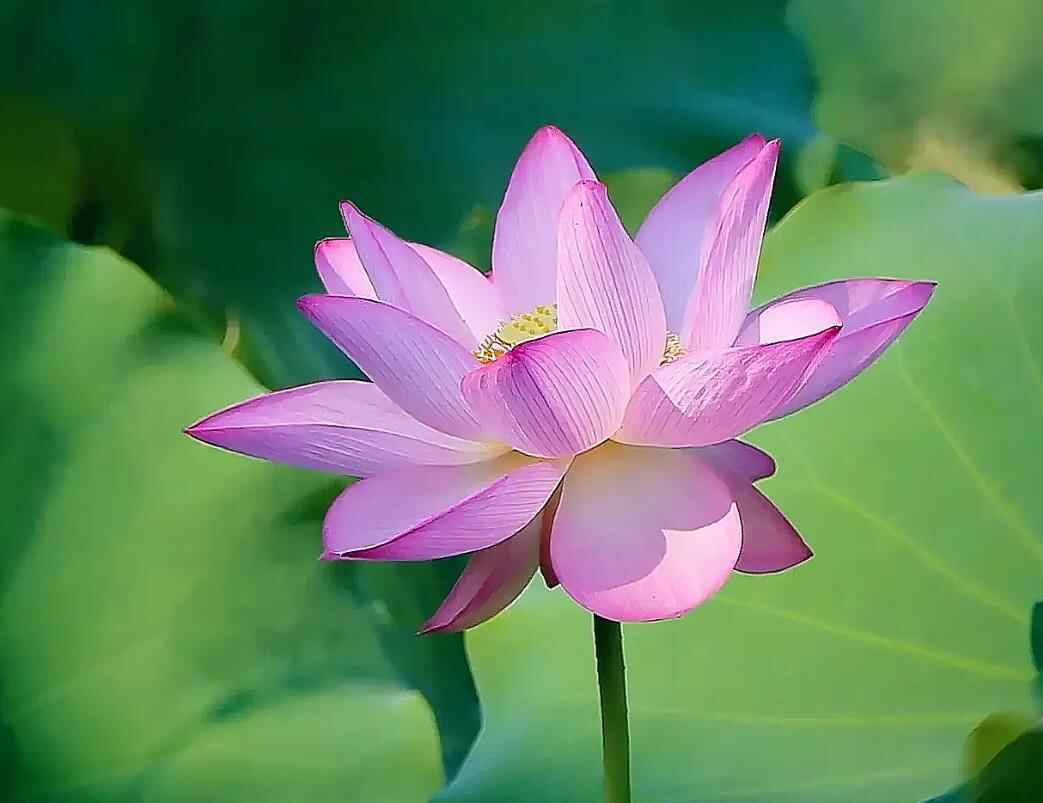 真正能扛住大财的人都有哪些特征