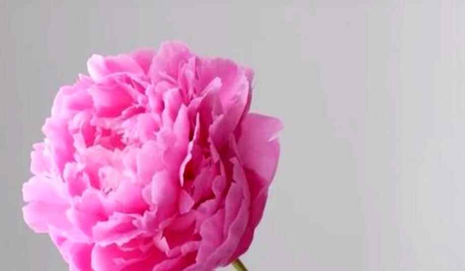 搞定女人最快方式