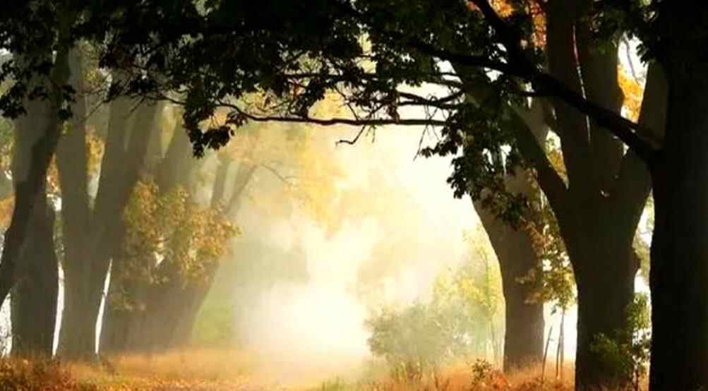 哪些回微信方式代表看不起人