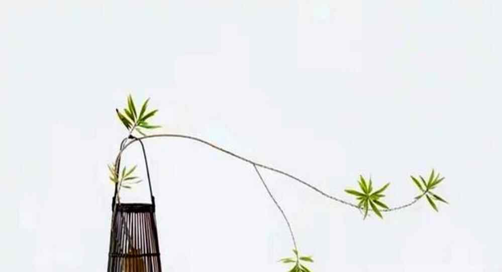 哪些回微信方式代表看不起人