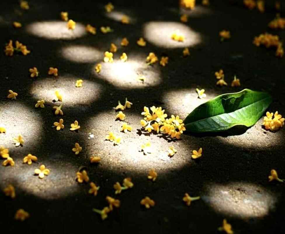 断了兄弟姐妹的联系为何是最糊涂的决定